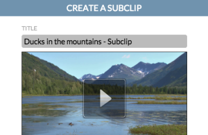 subclip_dialog