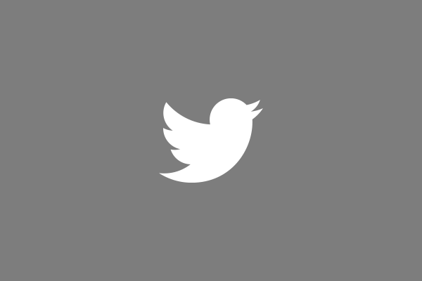white twitter logo on gray background